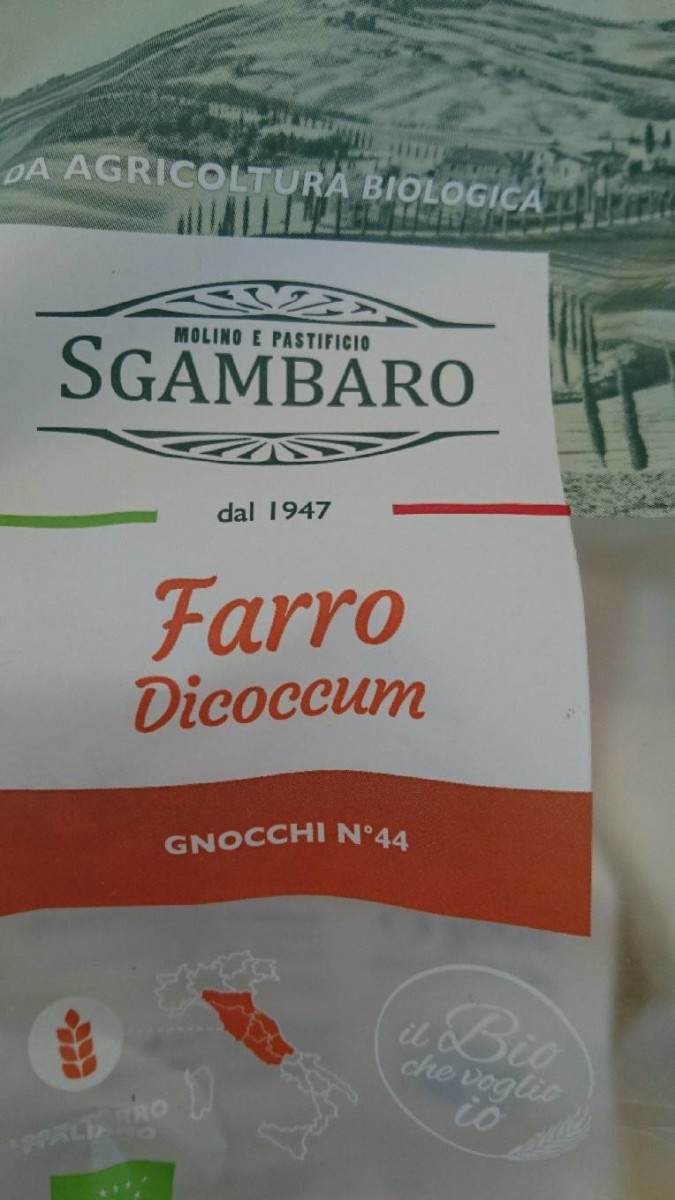 Farro dicoccum