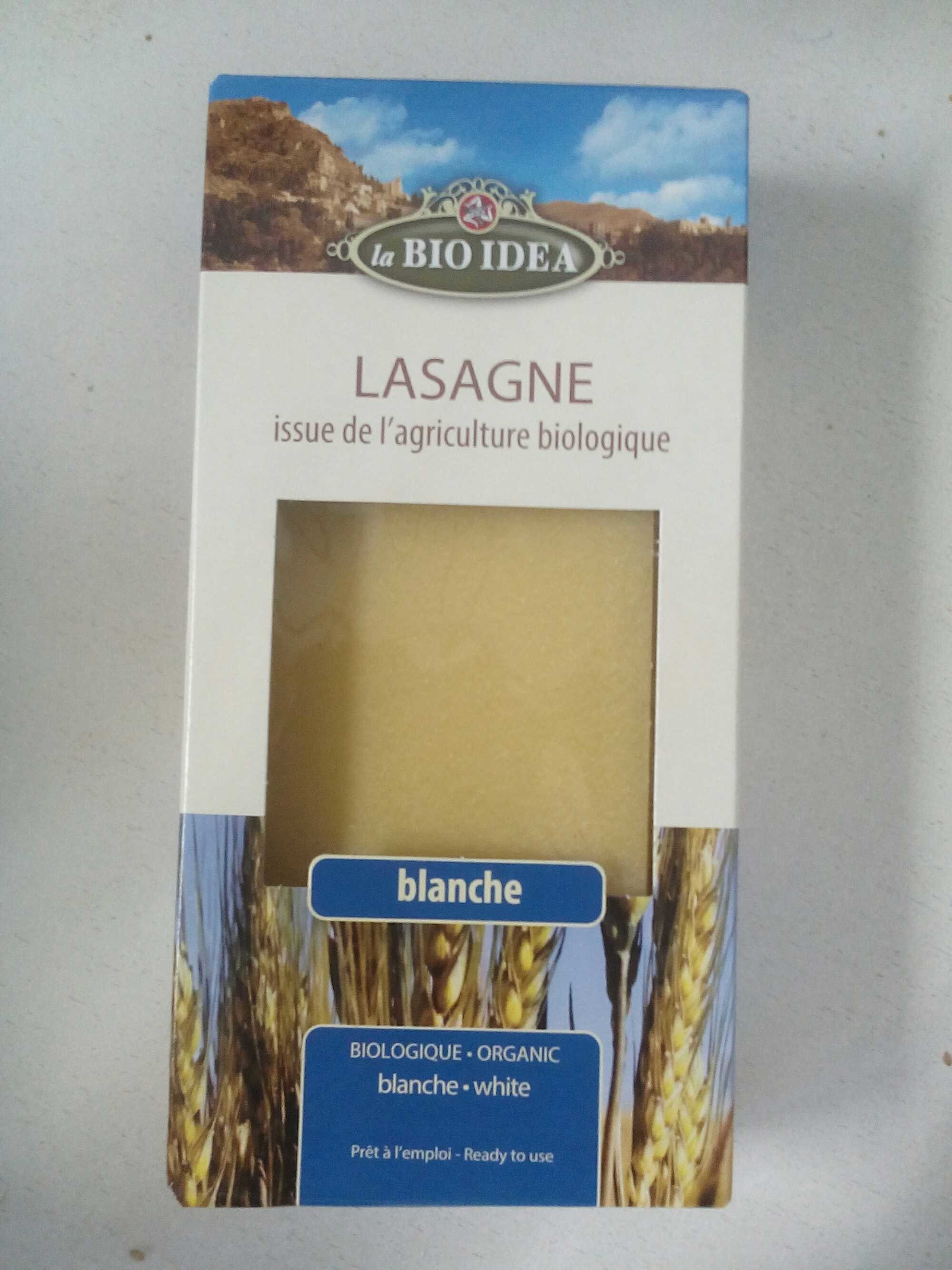 Lasagne blanche